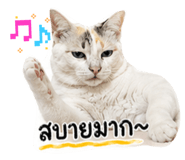 838806640