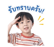 838806993