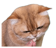 838807602