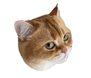 838807607