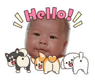838810453