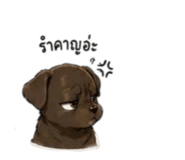 838811165