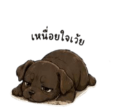 838811173