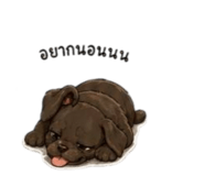 838811176