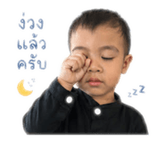 838811516