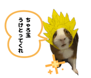 838811803