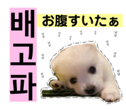 838812788