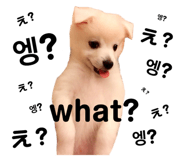 838812792