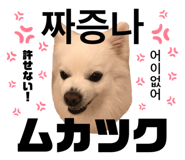 838812798