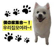 838812801