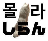 838812803