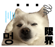 838812804