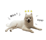 838812805