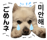 838812807