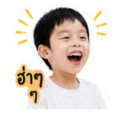 838813542