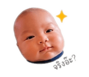 838813655