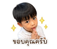 838814163