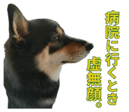 838814361