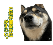 838814362