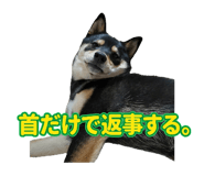 838814364