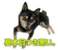 838814365