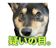 838814366
