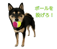 838814367
