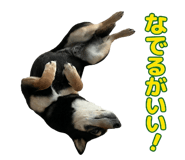 838814368