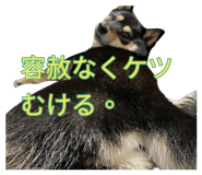 838814370