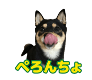 838814372