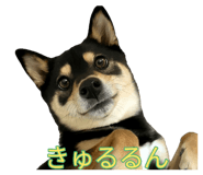 838814373
