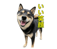 838814376