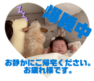838816052