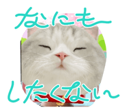 838816428