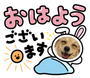 838816507