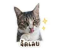 838816534