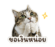 838816549