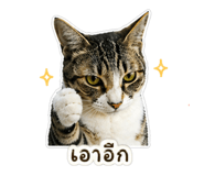 838816550