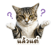 838816556