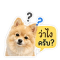 838816692