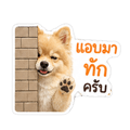 838816700