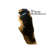 838817270