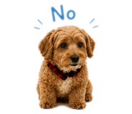 838817776