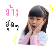 838818008