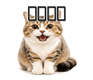 838819113