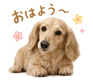 838819371