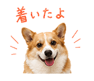 838819376