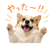 838819377