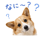838819381