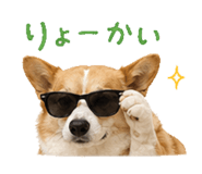 838819384